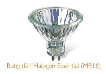 20W Bóng Halogen Essential Philips GU5.3 36D-Có kính chụp 20W Bóng Halogen Essential Philips GU5.3 36D-Có kính chụp